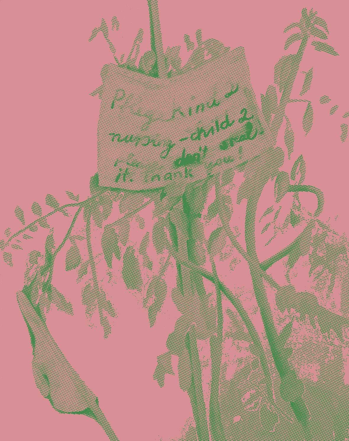 Pflegekind2_Postkarte_gruen_rosa-web