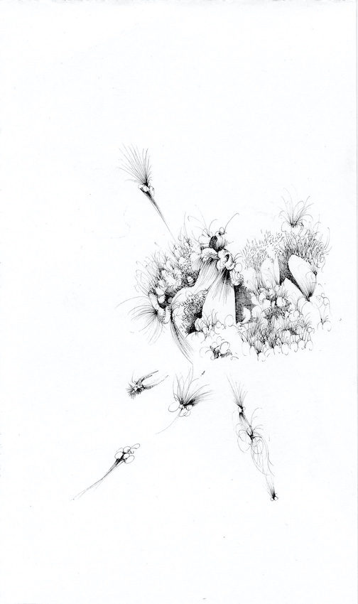 n_23_web Kopie